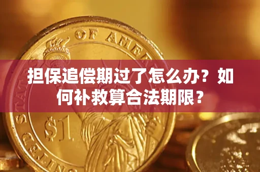 武汉担保追偿期过了怎么办？如何补救算合法期限？