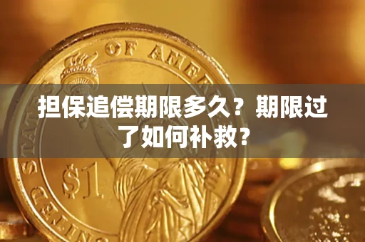 武汉担保追偿期限多久？期限过了如何补救？