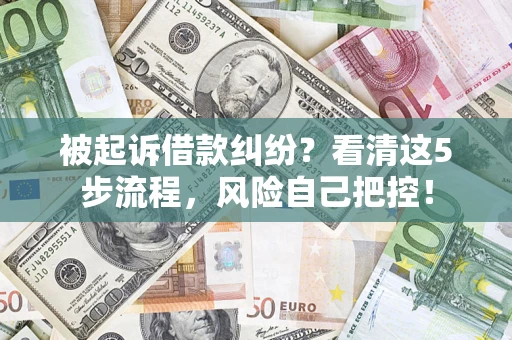 武汉被起诉借款纠纷？看清这5步流程，风险自己把控！