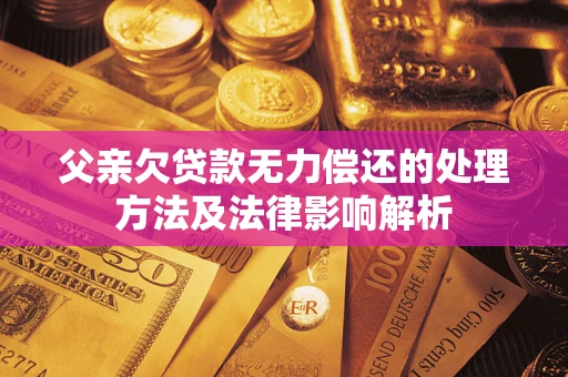 武汉父亲欠贷款无力偿还的处理方法及法律影响解析
